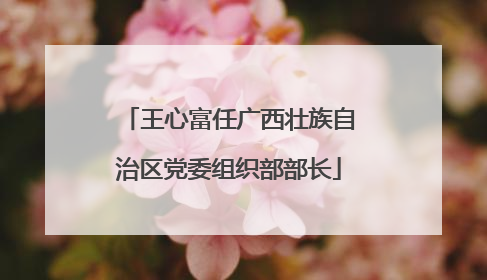 王心富任广西壮族自治区党委组织部部长