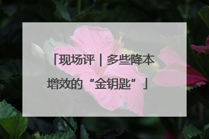 现场评｜多些降本增效的“金钥匙”