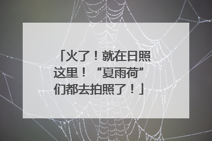 火了！就在日照这里！“夏雨荷”们都去拍照了！