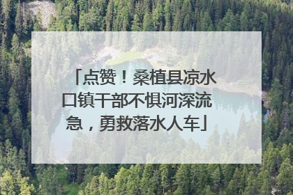 点赞！桑植县凉水口镇干部不惧河深流急，勇救落水人车