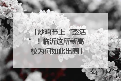 炒鸡节上“整活”！临沂这所新高校为何如此出圈
