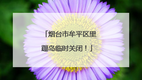 烟台市牟平区里蹦岛临时关闭！