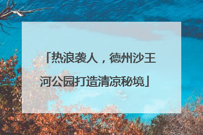 热浪袭人，德州沙王河公园打造清凉秘境