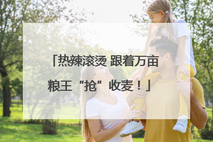 热辣滚烫 跟着万亩粮王“抢”收麦！