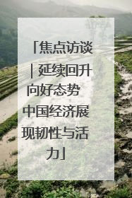 焦点访谈｜延续回升向好态势 中国经济展现韧性与活力