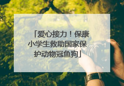 爱心接力！保康小学生救助国家保护动物冠鱼狗