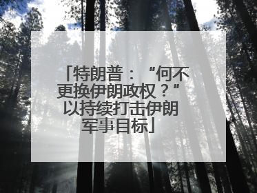 特朗普：“何不更换伊朗政权？” 以持续打击伊朗军事目标