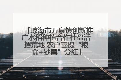 琼海市万泉镇创新推广水稻种植合作社盘活撂荒地 农户喜提“粮食+钞票”分红