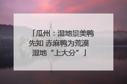 瓜州：湿地景美鸭先知 赤麻鸭为荒漠湿地“上大分”