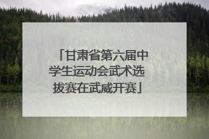 甘肃省第六届中学生运动会武术选拔赛在武威开赛