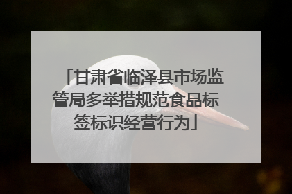 甘肃省临泽县市场监管局多举措规范食品标签标识经营行为