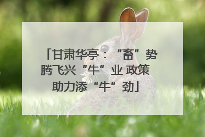 甘肃华亭：“畜”势腾飞兴“牛”业 政策助力添“牛”劲