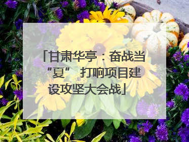 甘肃华亭：奋战当“夏” 打响项目建设攻坚大会战