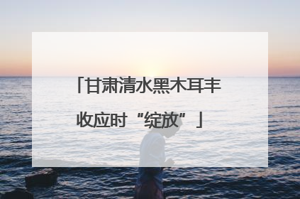 甘肃清水黑木耳丰收应时“绽放”