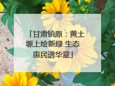 甘肃镇原：黄土塬上绘新绿 生态惠民谱华章