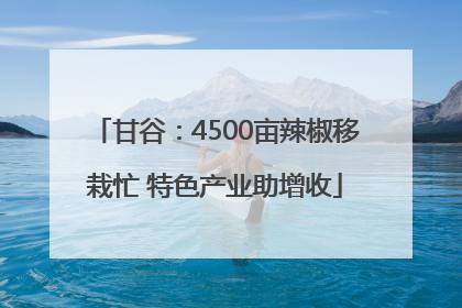 甘谷：4500亩辣椒移栽忙 特色产业助增收