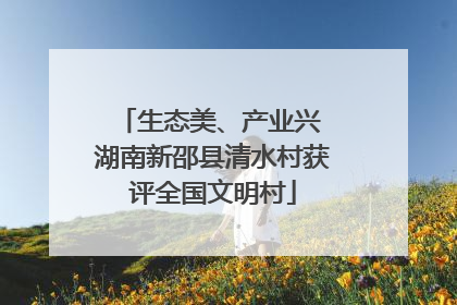 生态美、产业兴 湖南新邵县清水村获评全国文明村