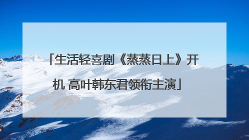 生活轻喜剧《蒸蒸日上》开机 高叶韩东君领衔主演