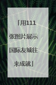 用111张图片展示国际友城往来成就