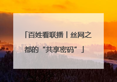 百姓看联播丨丝网之都的“共享密码”