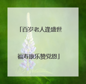 百岁老人逢盛世 福寿康乐赞党恩