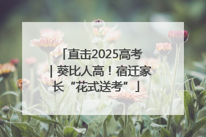 直击2025高考｜葵比人高！宿迁家长“花式送考”