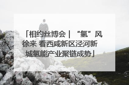 相约丝博会｜“氢”风徐来 看西咸新区泾河新城氢能产业聚链成势