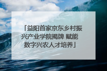 益阳首家京东乡村振兴产业学院揭牌 赋能数字兴农人才培养