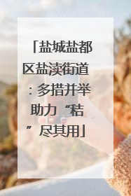 盐城盐都区盐渎街道：多措并举 助力“秸”尽其用