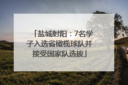 盐城射阳：7名学子入选省橄榄球队并接受国家队选拔