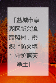 盐城市亭湖区新兴镇联盟村：密织“防火墙”守护蓝天净土
