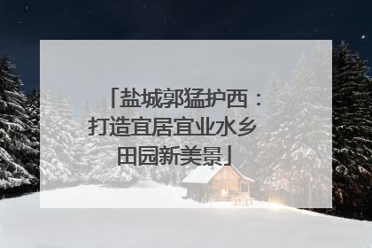 盐城郭猛护西：打造宜居宜业水乡田园新美景