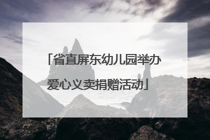 省直屏东幼儿园举办爱心义卖捐赠活动