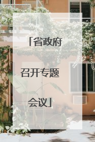 省政府召开专题会议