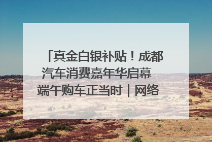 真金白银补贴！成都汽车消费嘉年华启幕 端午购车正当时｜网络中国节·端午