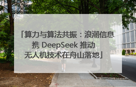算力与算法共振：浪潮信息携 DeepSeek 推动无人机技术在舟山落地