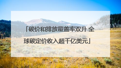 碳价和排放覆盖率双升 全球碳定价收入超千亿美元