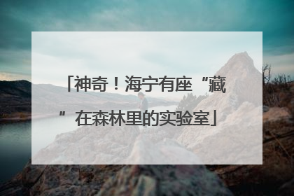 神奇！海宁有座“藏”在森林里的实验室