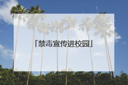 禁毒宣传进校园