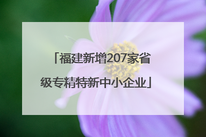 福建新增207家省级专精特新中小企业
