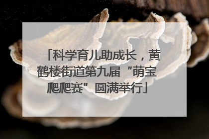 科学育儿助成长，黄鹤楼街道第九届“萌宝爬爬赛”圆满举行