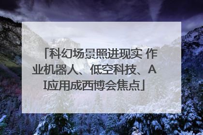 科幻场景照进现实 作业机器人、低空科技、AI应用成西博会焦点