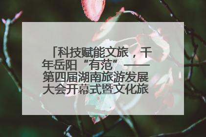 科技赋能文旅，千年岳阳“有范”——第四届湖南旅游发展大会开幕式暨文化旅游推介会侧记