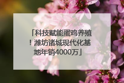 科技赋能蛋鸡养殖！潍坊诸城现代化基地年销4000万