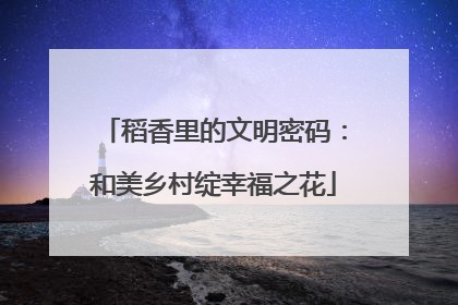 稻香里的文明密码：和美乡村绽幸福之花