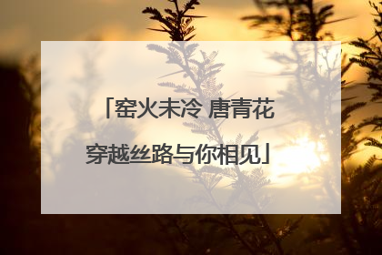 窑火未冷 唐青花穿越丝路与你相见