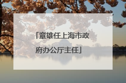 章雄任上海市政府办公厅主任