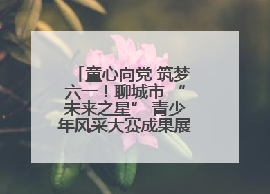 童心向党 筑梦六一！聊城市 “未来之星” 青少年风采大赛成果展示活动圆满成功