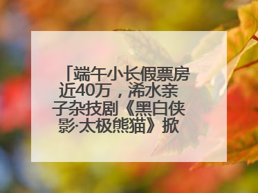端午小长假票房近40万，浠水亲子杂技剧《黑白侠影·太极熊猫》掀起观演热潮