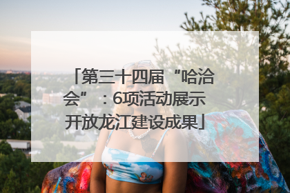 第三十四届“哈洽会”：6项活动展示开放龙江建设成果